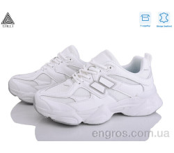 Кроссовки STILLI Group